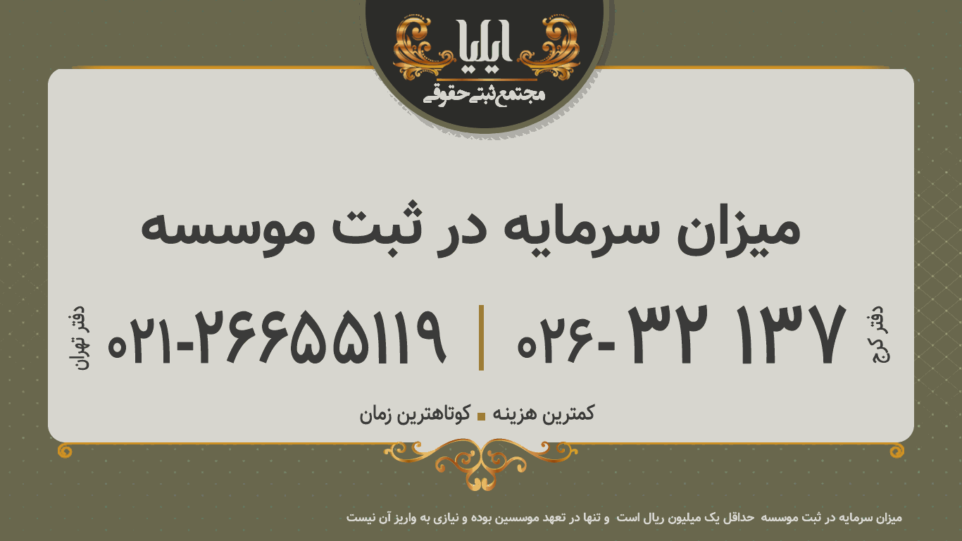 میزان سرمایه در ثبت موسسه